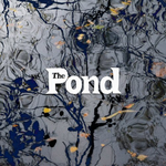 Pond专辑