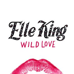 Elle King - Love Go By (BK Karaoke) 带和声伴奏