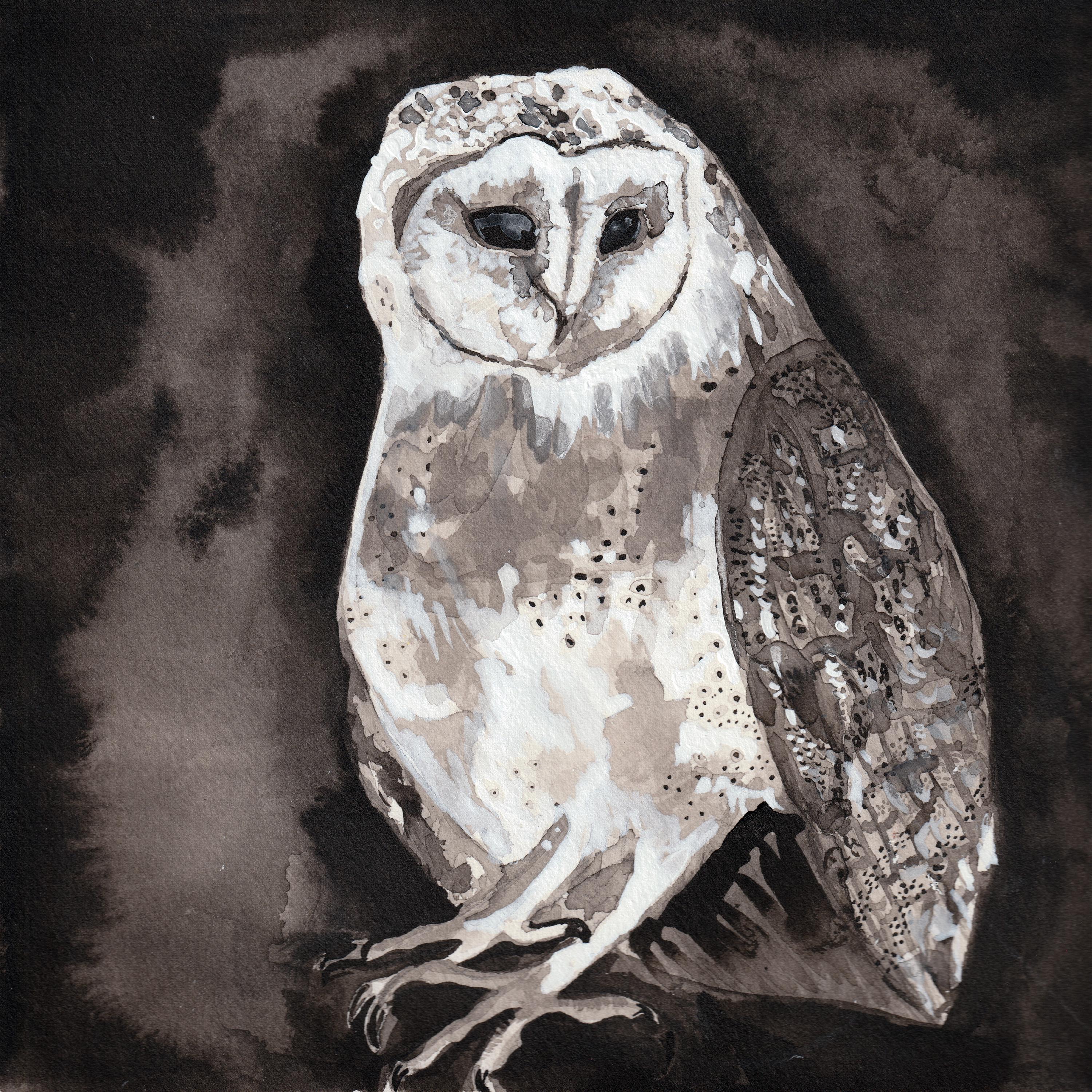 Owl Song专辑