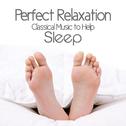 Perfect Relaxation: Classical Music to Help Sleep专辑