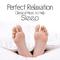 Perfect Relaxation: Classical Music to Help Sleep专辑