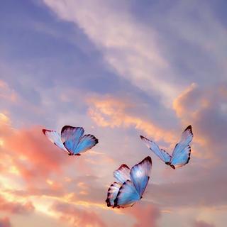 快手最火助眠BGM | 优质睡眠伴侣