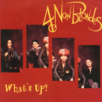 原版伴奏 4 Non Blondes - What's Up (acoustative) (karaoke)