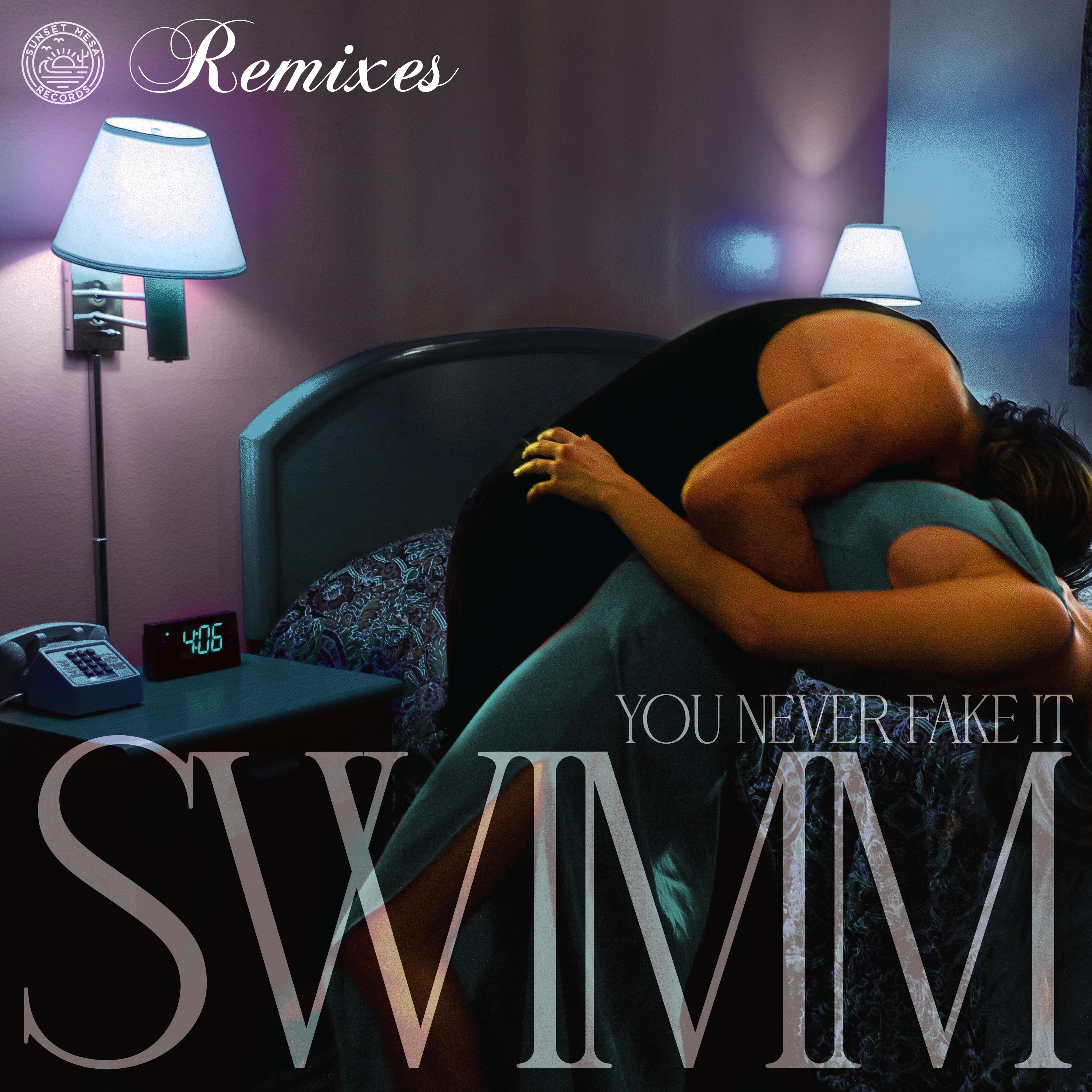 You Never Fake It (Remixes) (WiLLY MiKK Remix)