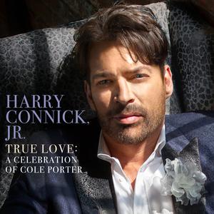 True Love - Harry Connick Jr. (Karaoke Version) 带和声伴奏