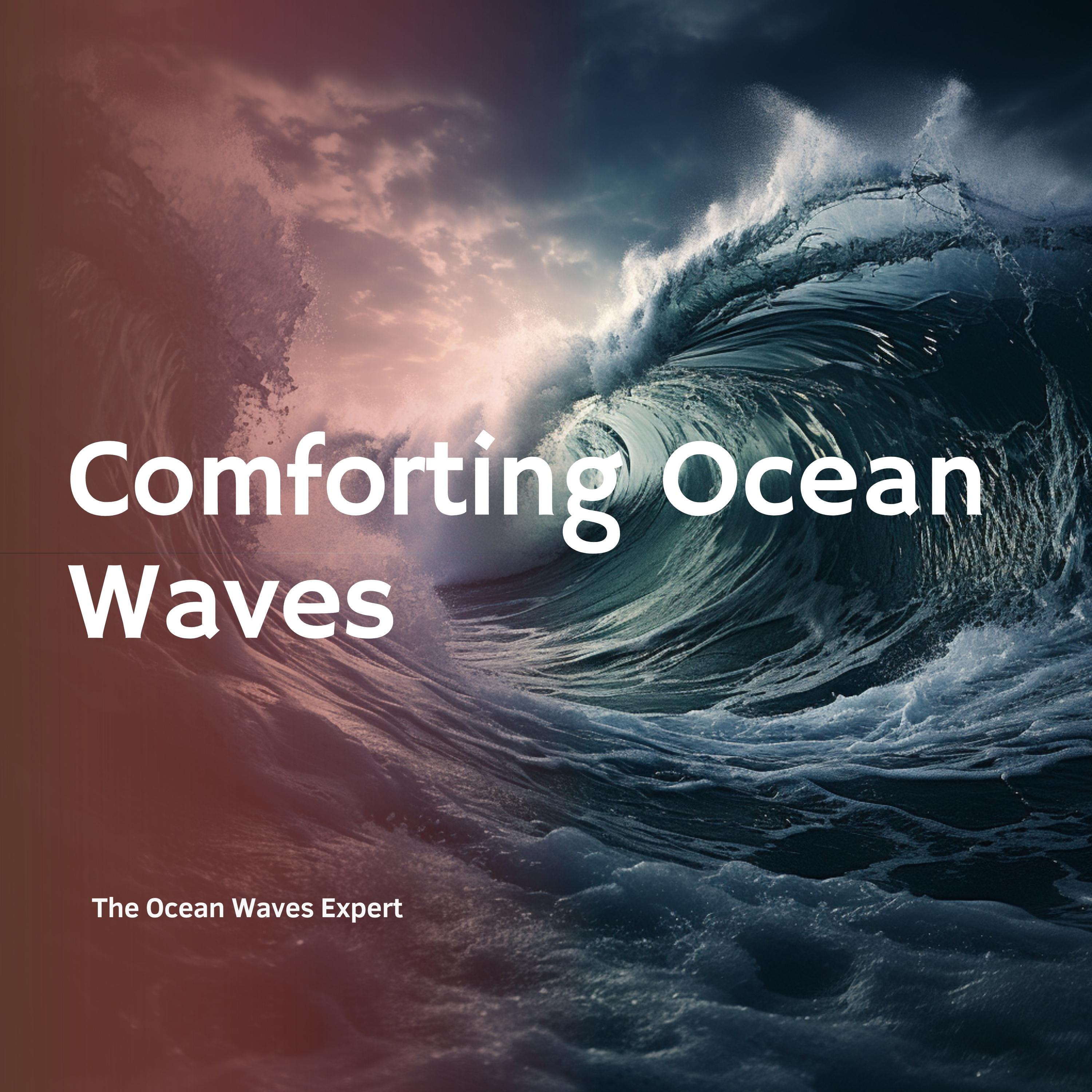 The Ocean Waves Experts - If Waves Could Talk