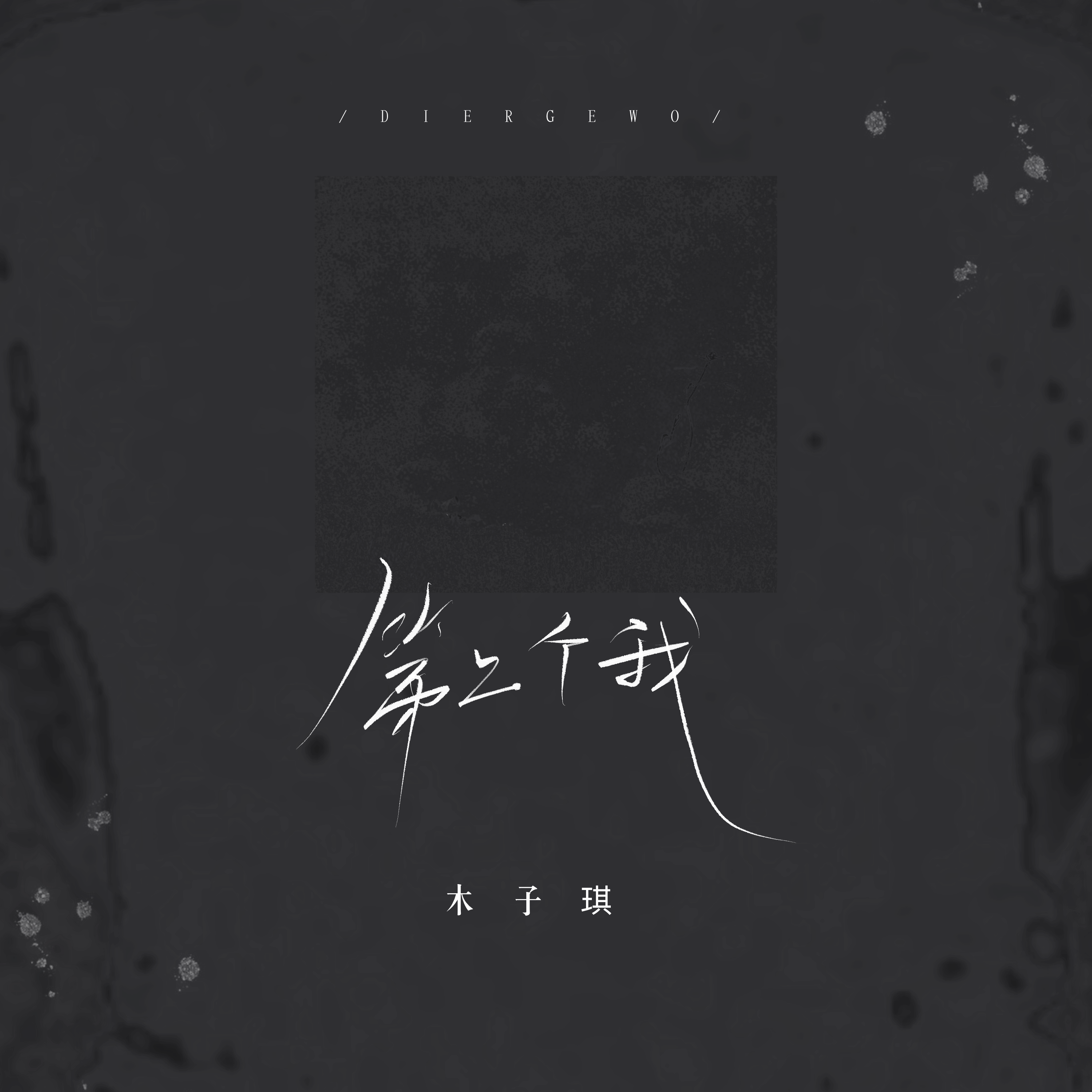 第二个我