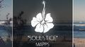 Soulstice专辑