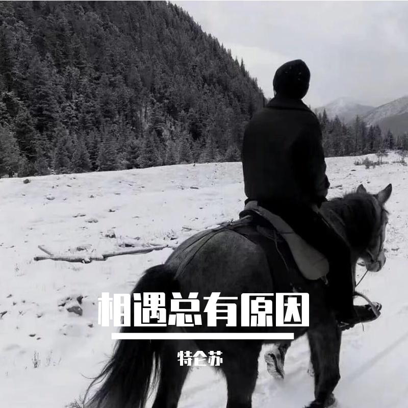 相遇总有原因