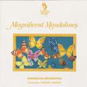 Magnificent Mandolines专辑