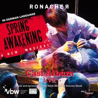 Mama Who Bore Me - spring Awakening (钢琴伴奏)