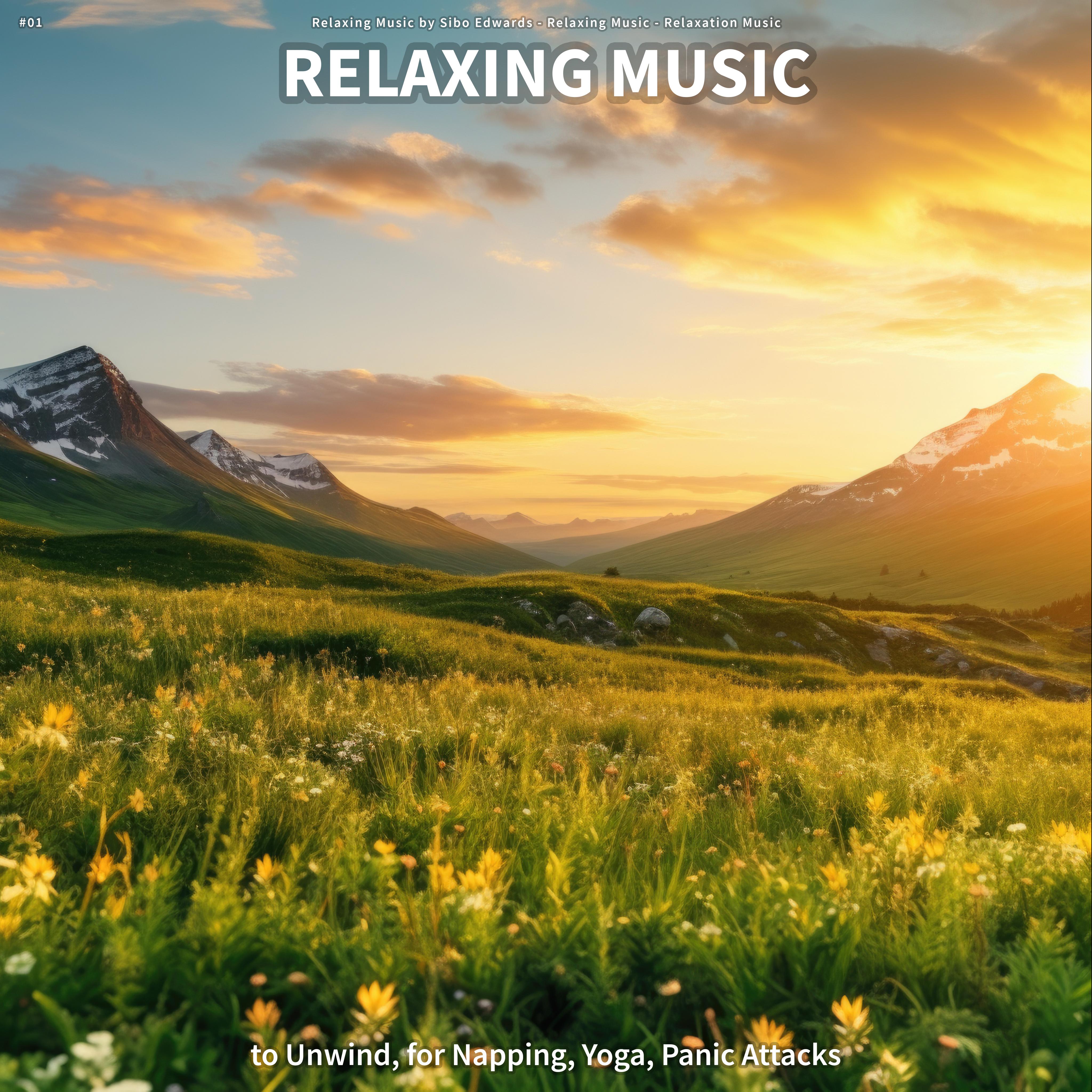 Wonderful Music for Health - Relaxing Music by Sibo Edwards/Relaxing ...