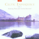 Celtic Experience, Vol. 1: Haunting Themes From Scotland And Ireland专辑