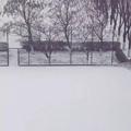 逃离