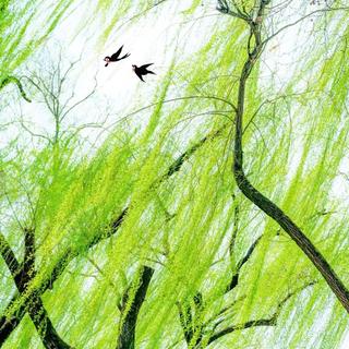 春核美学 |绿意 盎然 鲜活 旺盛 生命力