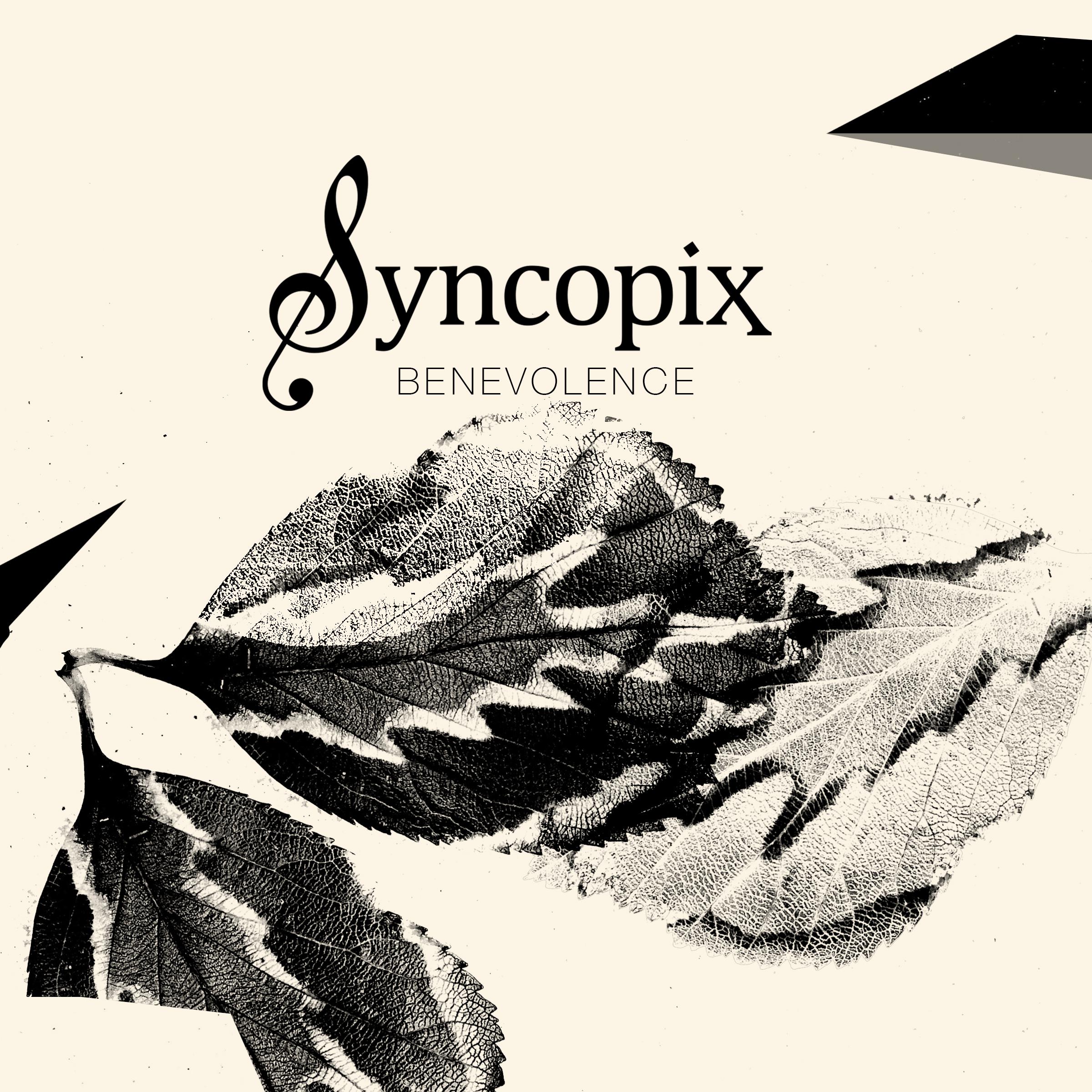 Syncopix - Sizzling Hot