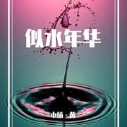 似水年华