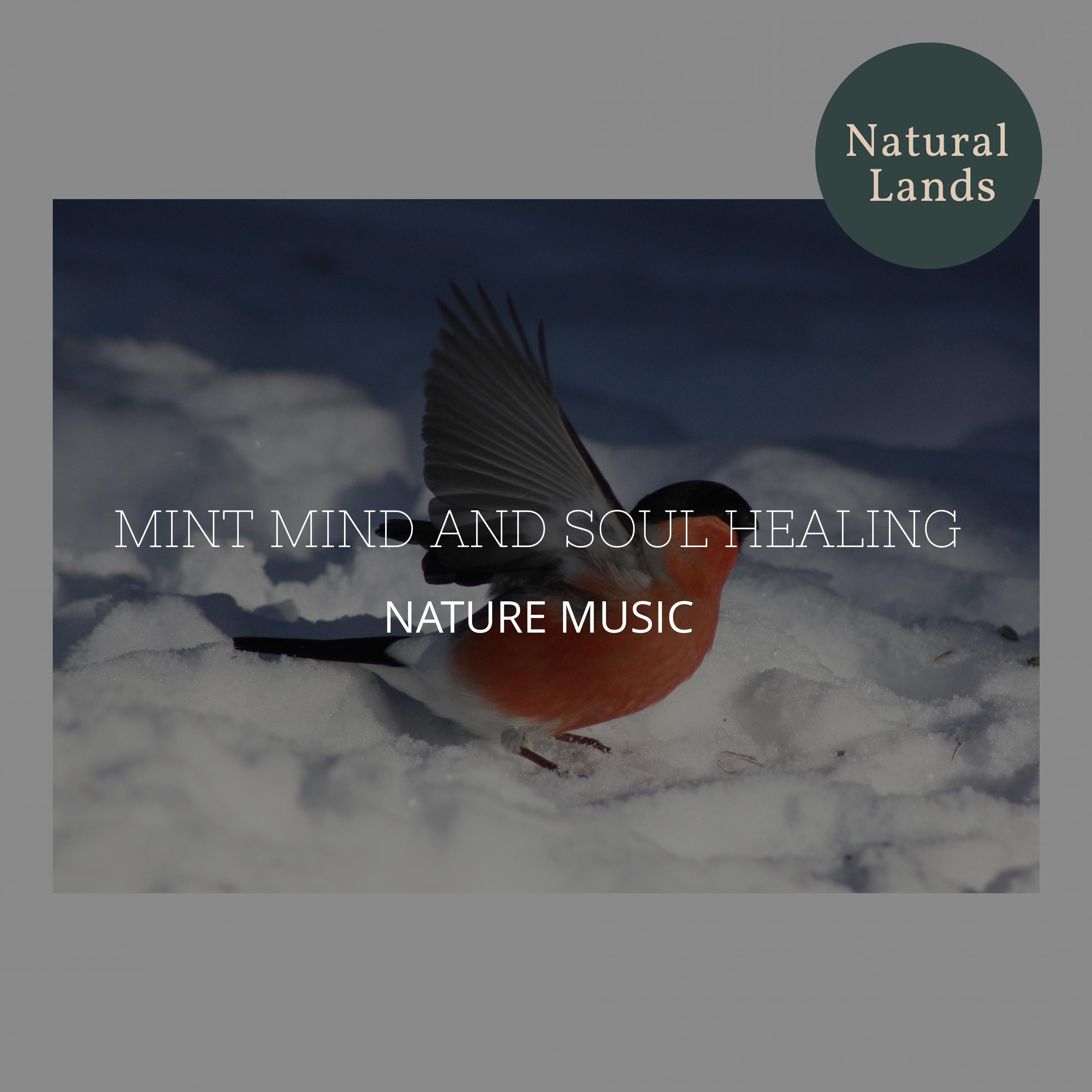 Passionate Healing Nature Music - The mystical calls of Carolina Wren
