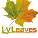 落烨Leaves