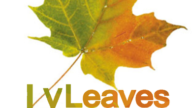 落烨Leaves