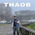 ThaoB歌手图片