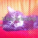 25 Rainy Day Recordings专辑