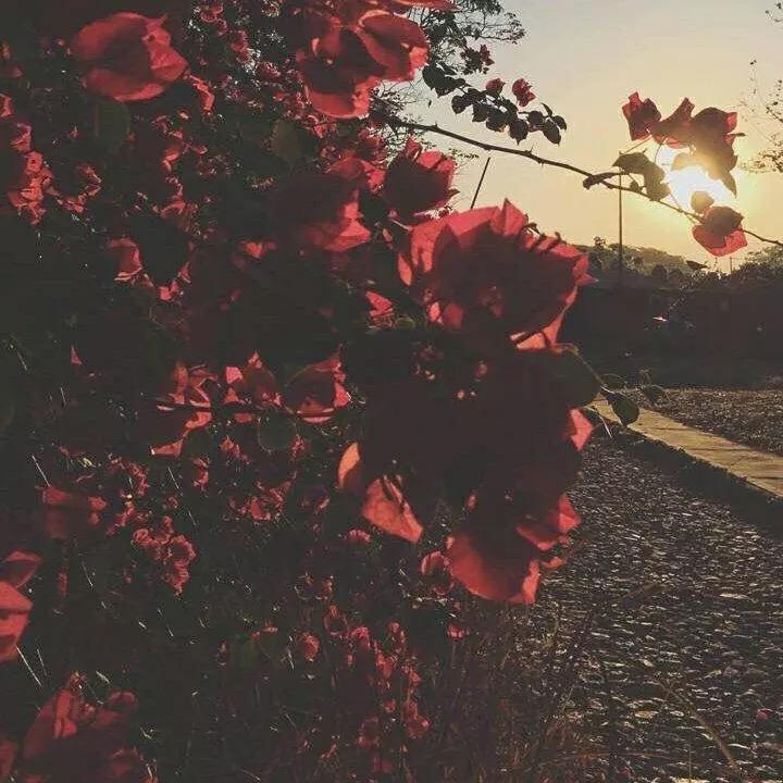 Muhabbat 爱情 (Live)