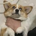 心中再无爱