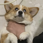 心中再无爱专辑