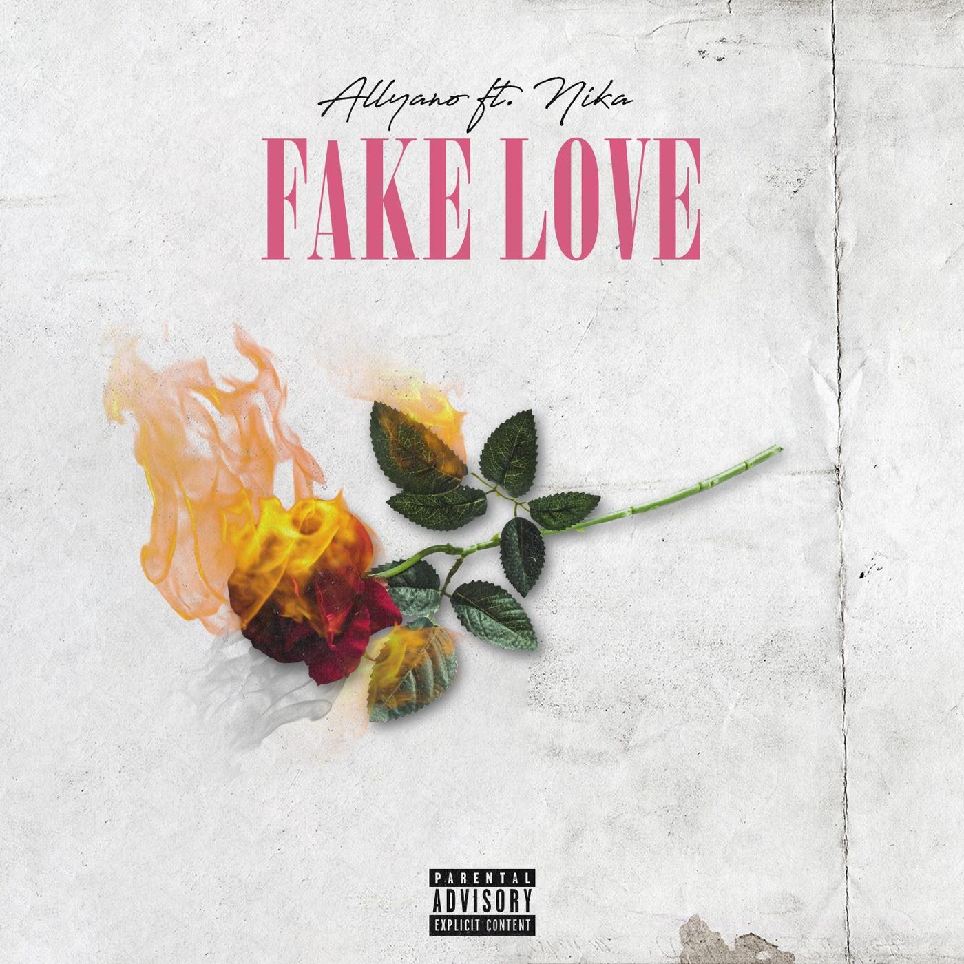Fake Love (feat. Nika)
