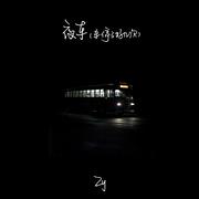 夜车 (车停了好几次)