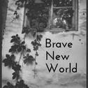 Brave New World专辑