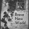 Brave New World专辑