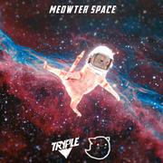 Meowter Space