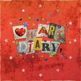 OWARI DIARY