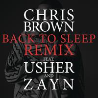 Chris Brown - Back to Sleep (Karaoke Version) 带和声伴奏