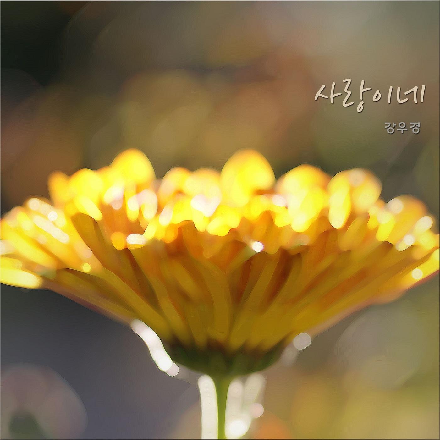 사랑이네