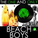 The One and Only the Beach Boys (Live)专辑