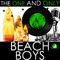 The One and Only the Beach Boys (Live)专辑