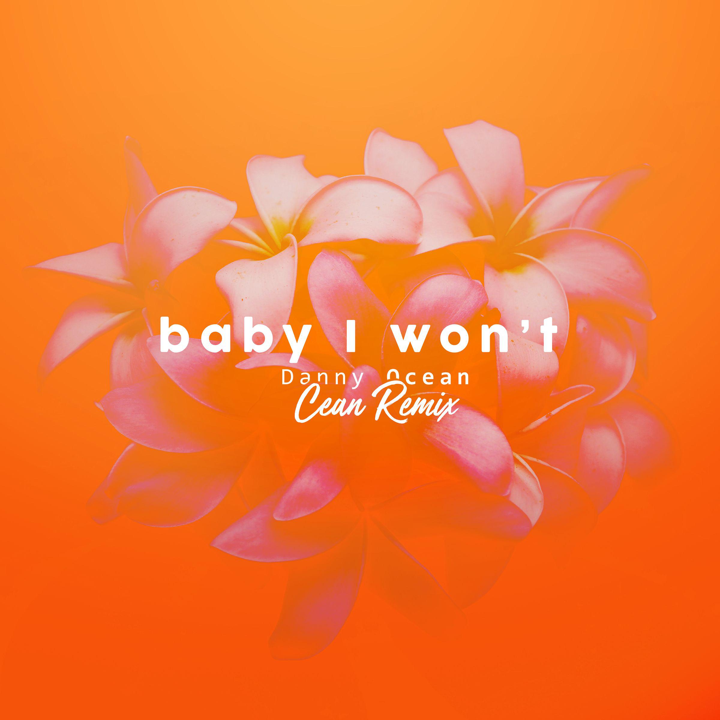 Baby I Won't (Cean Remix)专辑