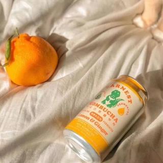 Winter Time · 冬日里不会缺席的暖暖