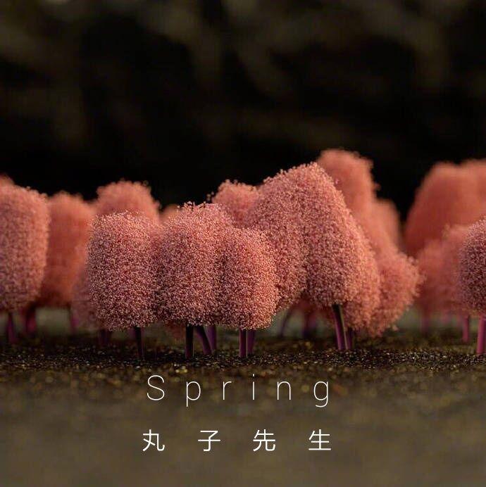 Spring专辑