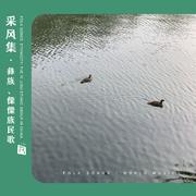 流浪的孩子