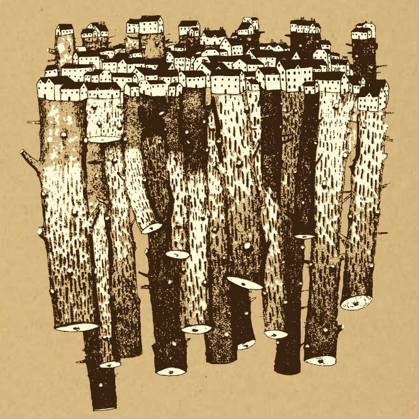 We Live in Houses Made of Wood