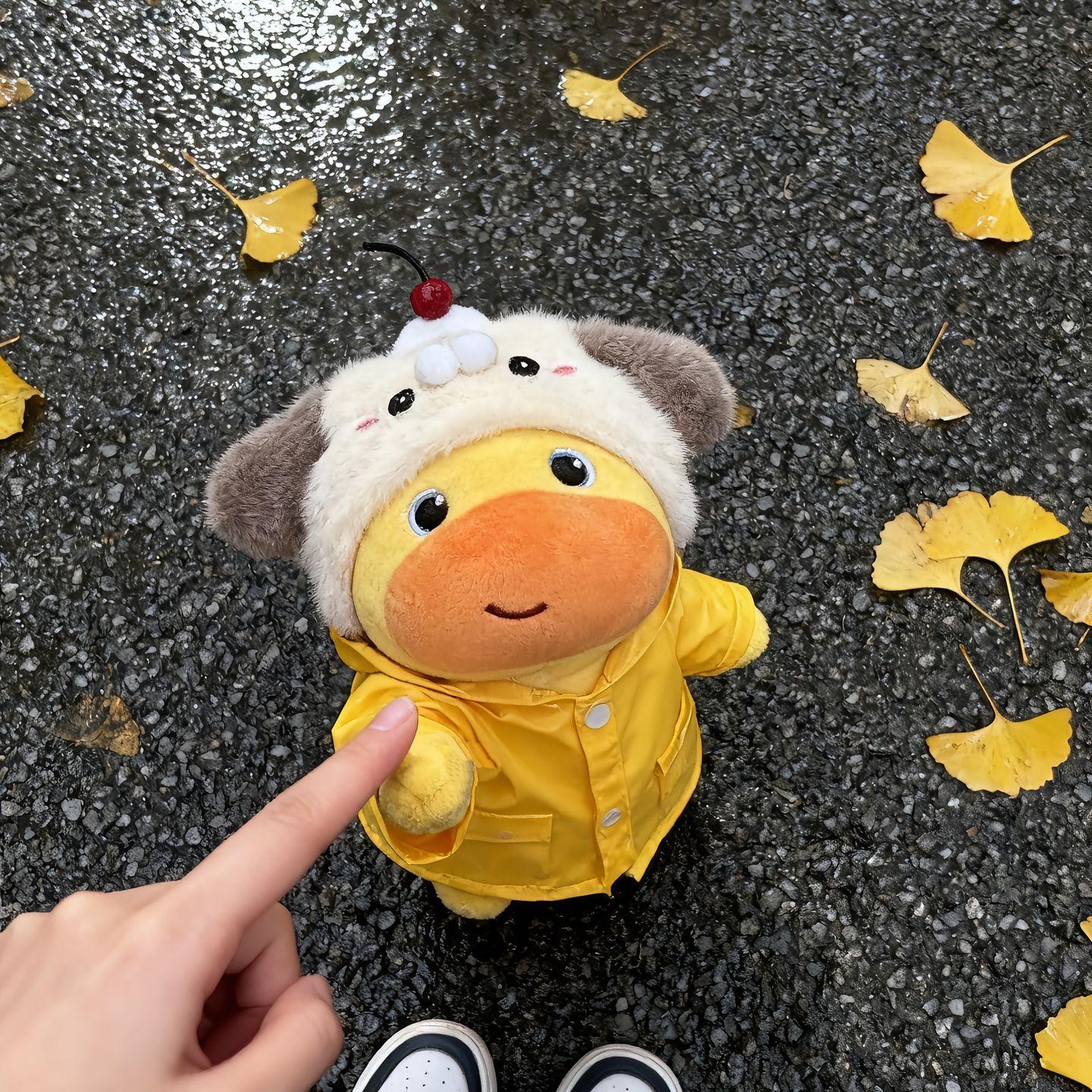 不必在乎我