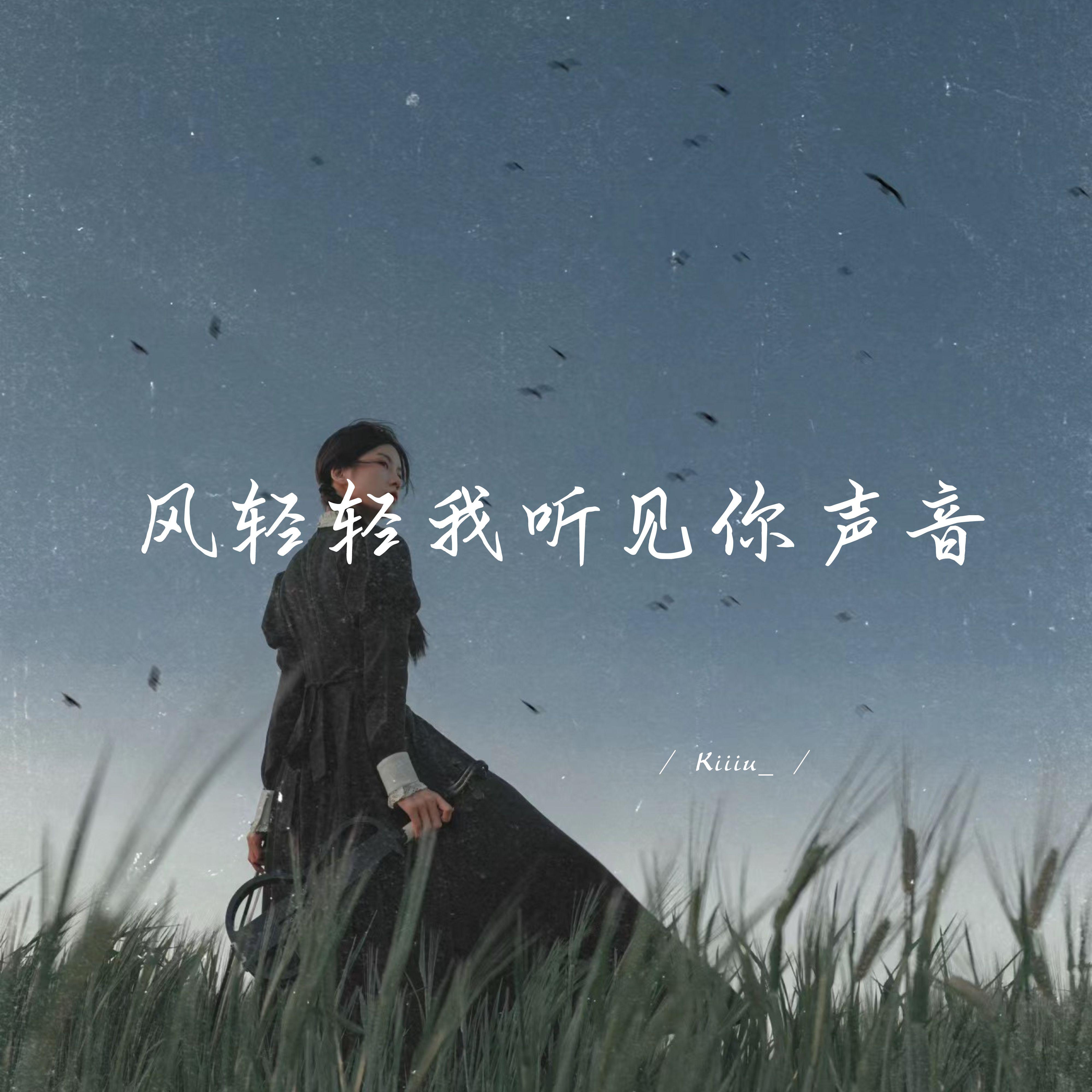 风轻轻我听见你声音 (释怀治愈版)
