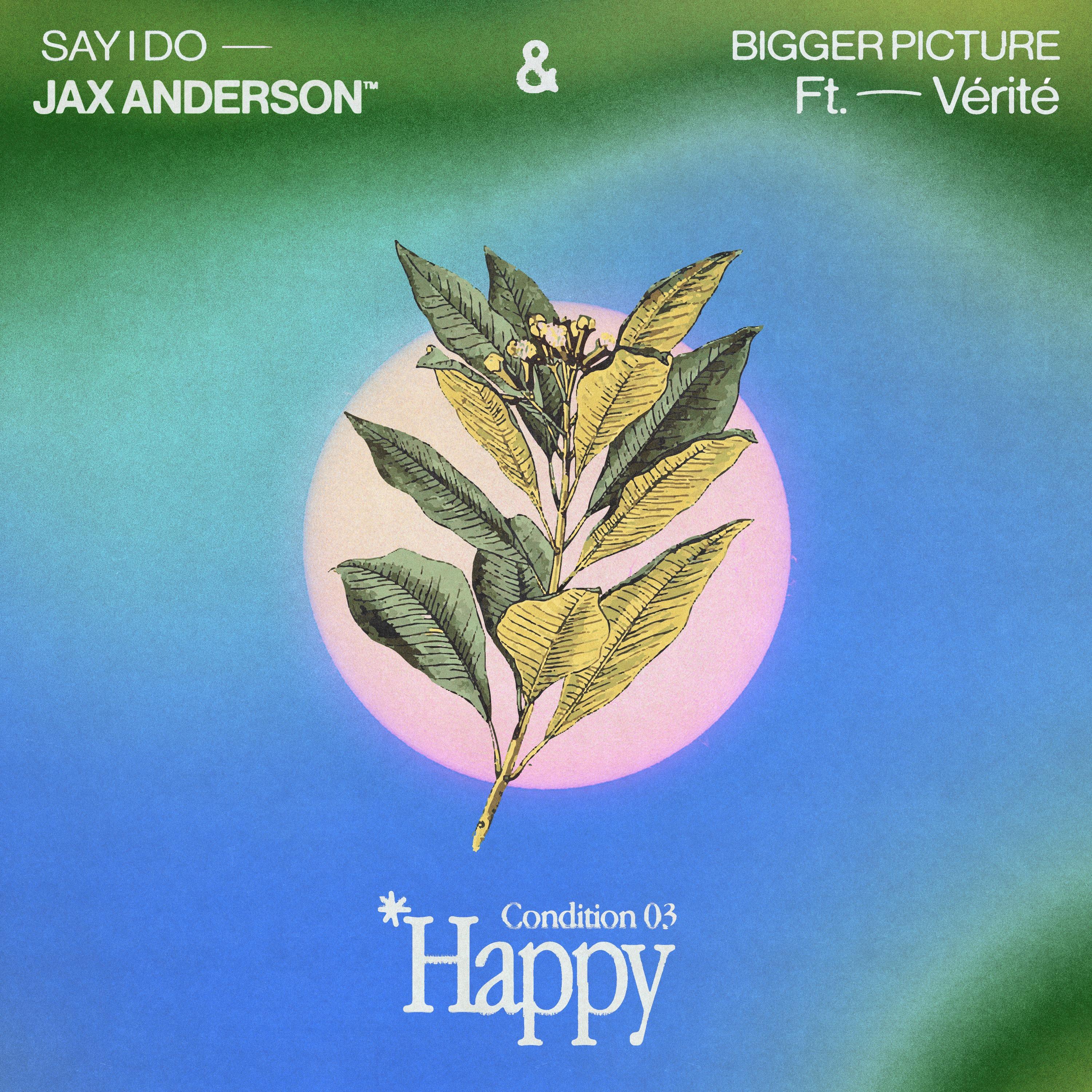 Jax Anderson - Say I Do