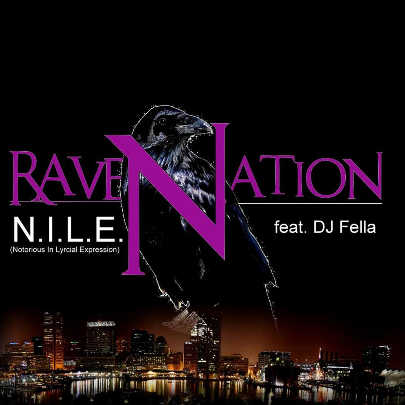RaveNation (feat. DJ Fella)