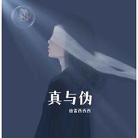 格雷西西西 - 真与伪