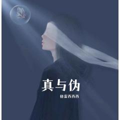 格雷西西西 - 真与伪